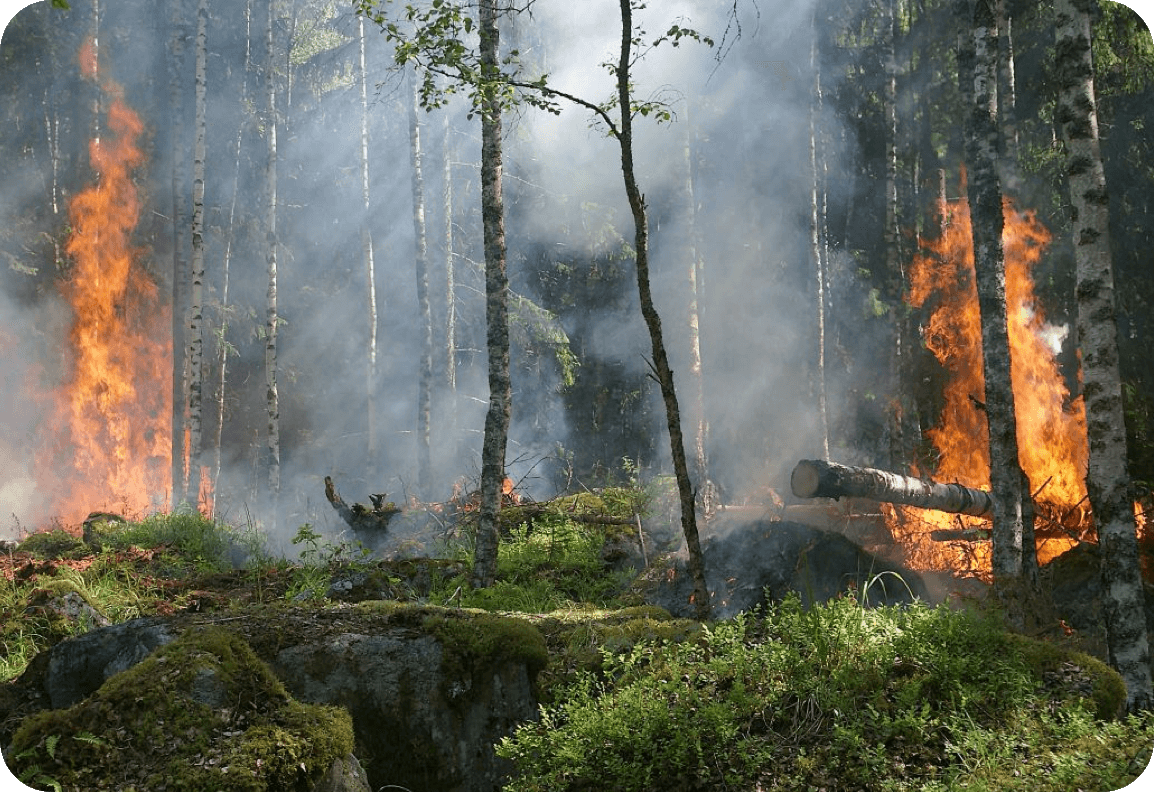 Fire and Smoke Early Warning